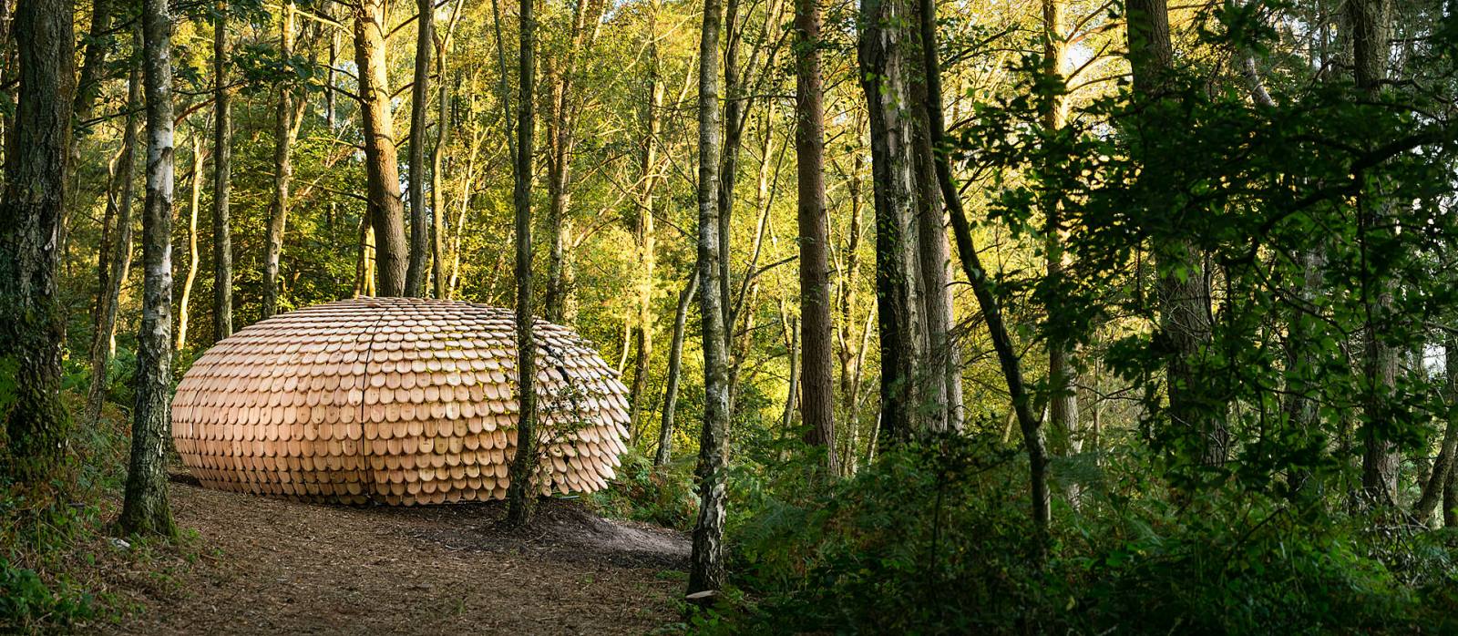 Sculptural installation in forest setting