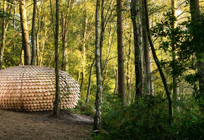 Sculptural installation in forest setting