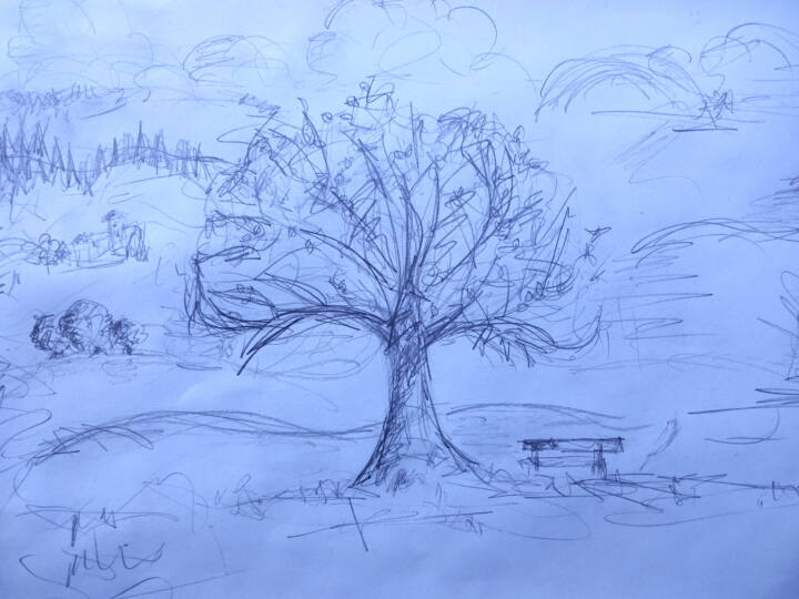 Drawing of Tree - Big Draw