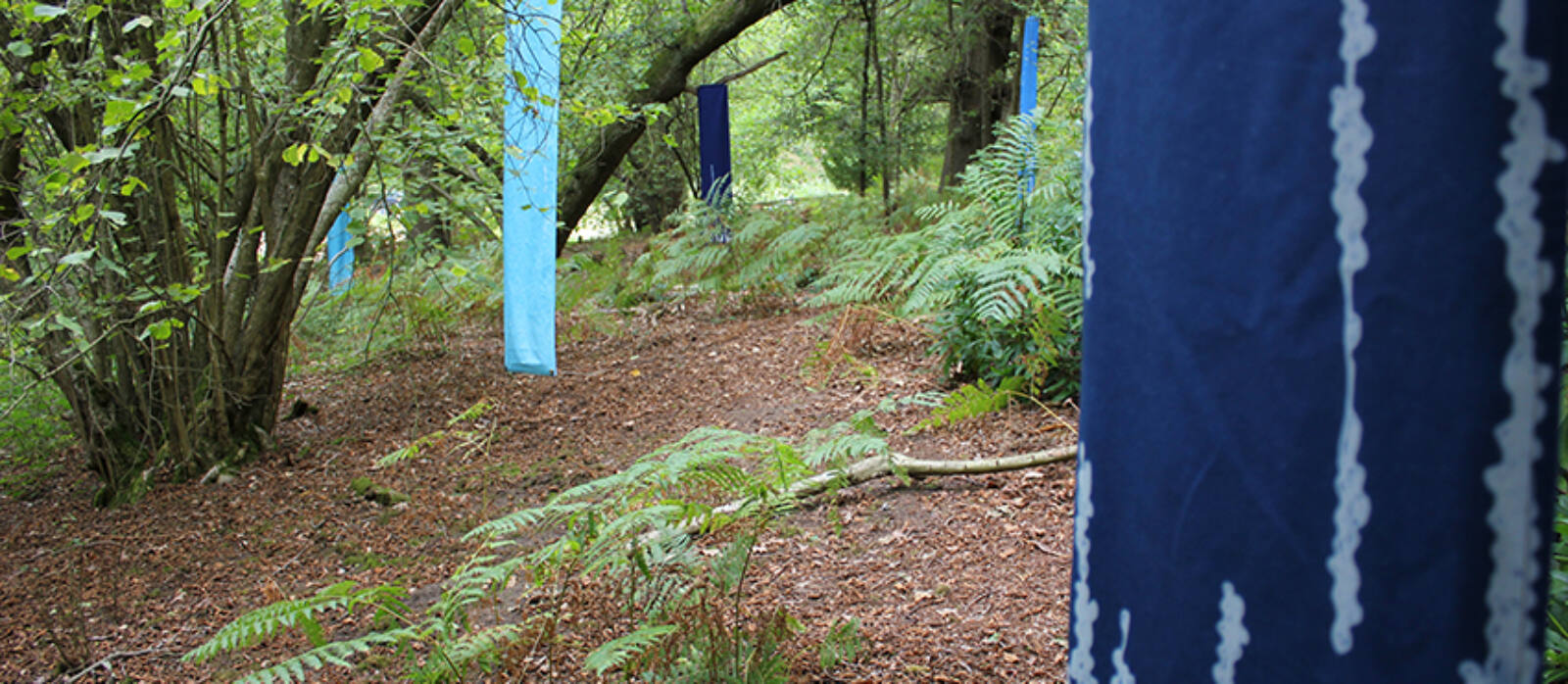 Forest Listening at Watts