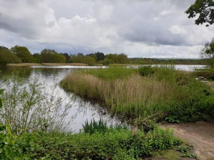 Farnham Little Pond