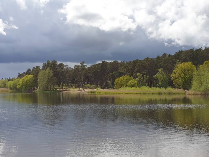 Frensham Little Pond