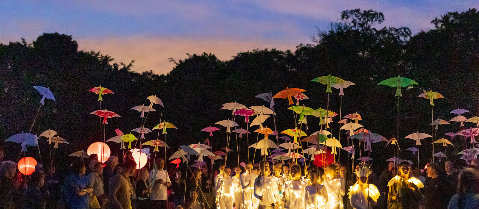 Wonderdusk 2023 Photo: John Miller