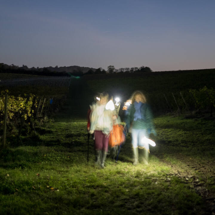 Attendees to the Radius event