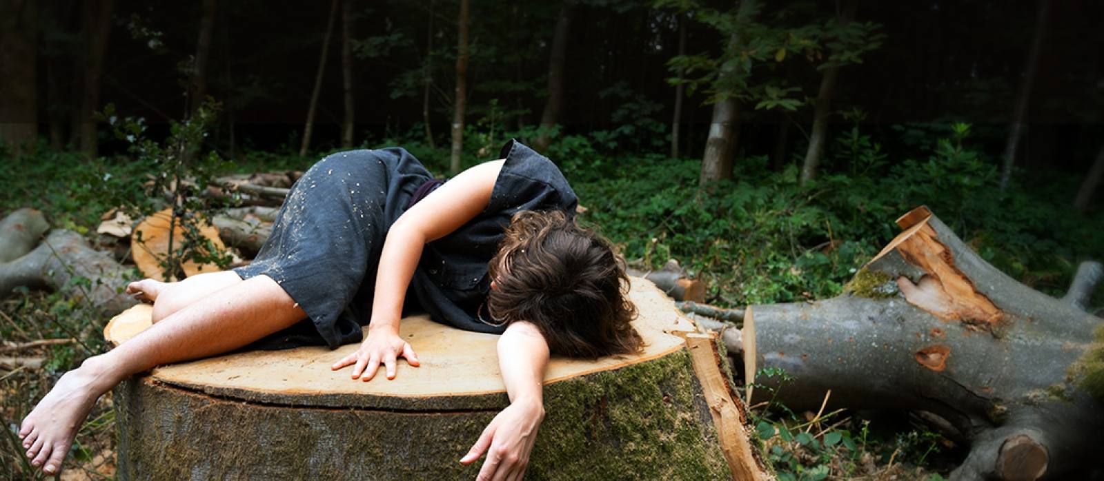 Fallen Words by Rosie May Jones